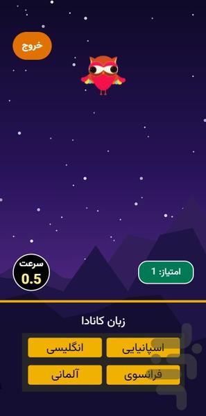 جغد نادان - عکس بازی موبایلی اندروید