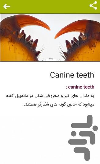 دیکشنری تخصصی تصویری حشره شناسی - عکس برنامه موبایلی اندروید
