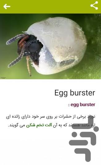 دیکشنری تخصصی تصویری حشره شناسی - عکس برنامه موبایلی اندروید