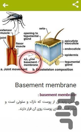 دیکشنری تخصصی تصویری حشره شناسی - عکس برنامه موبایلی اندروید