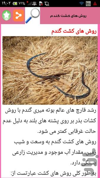 پرورش پرسود کلزا و گندم - عکس برنامه موبایلی اندروید