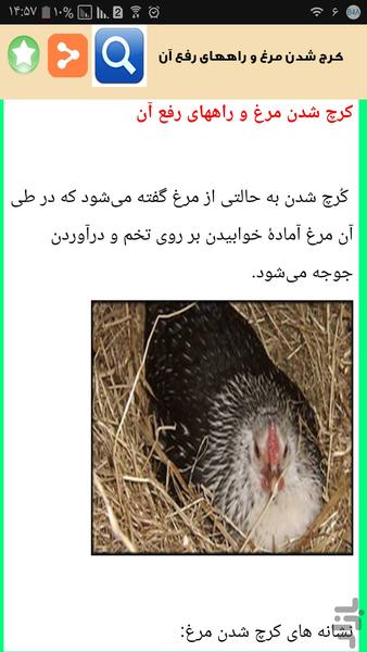 پرورش مرغ بومی با سود زیاد - Image screenshot of android app
