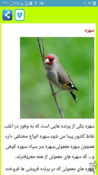 پرورش پرسود سهره کرمانی - عکس برنامه موبایلی اندروید