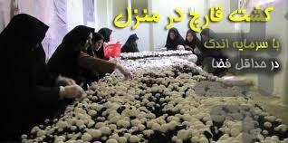 پرورش تولید و پخت قارچ - Image screenshot of android app