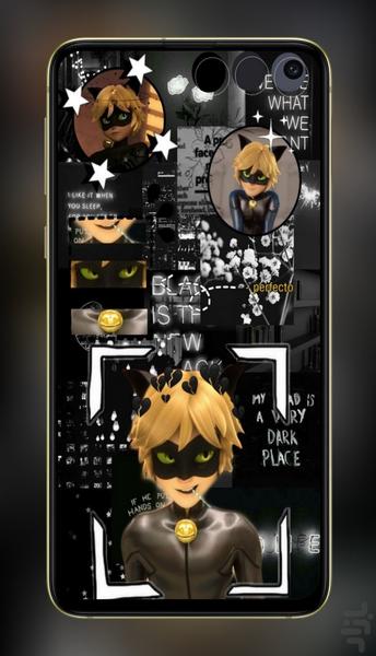 Cat Noir Wallpapers - Image screenshot of android app