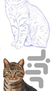 چجوری بکشم - متوسط و نسبتا پیشرفته - عکس برنامه موبایلی اندروید