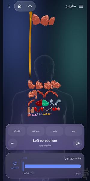 مغزینو - عکس برنامه موبایلی اندروید