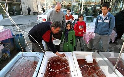 کاسبی های پرسود - Image screenshot of android app