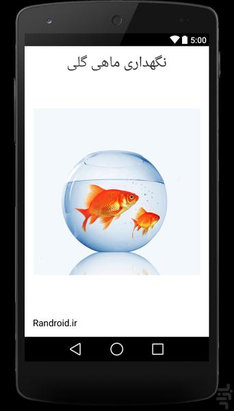 نگهداری ماهی گلی - Image screenshot of android app