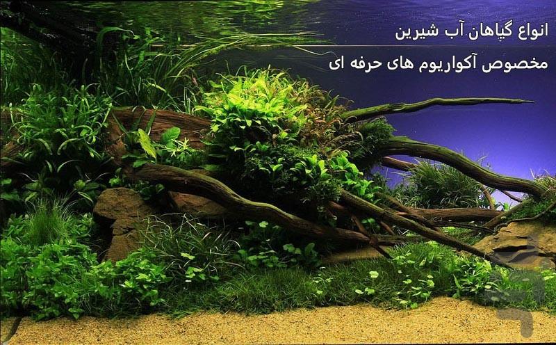 آبزیان آکواریومی - عکس برنامه موبایلی اندروید