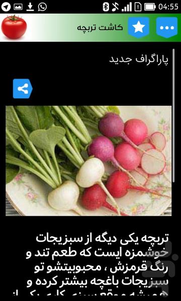 vegetable - Image screenshot of android app