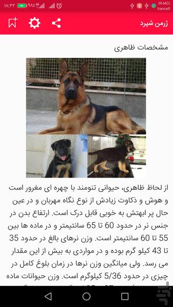 معرفی بهترین نژاد های سگ - عکس برنامه موبایلی اندروید