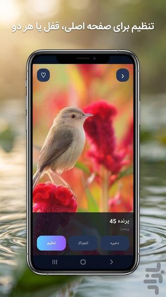 Bird and Fish Wallpapers HD - Image screenshot of android app