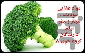 رژیم غذایی با توجه به گروه خونی شما - Image screenshot of android app