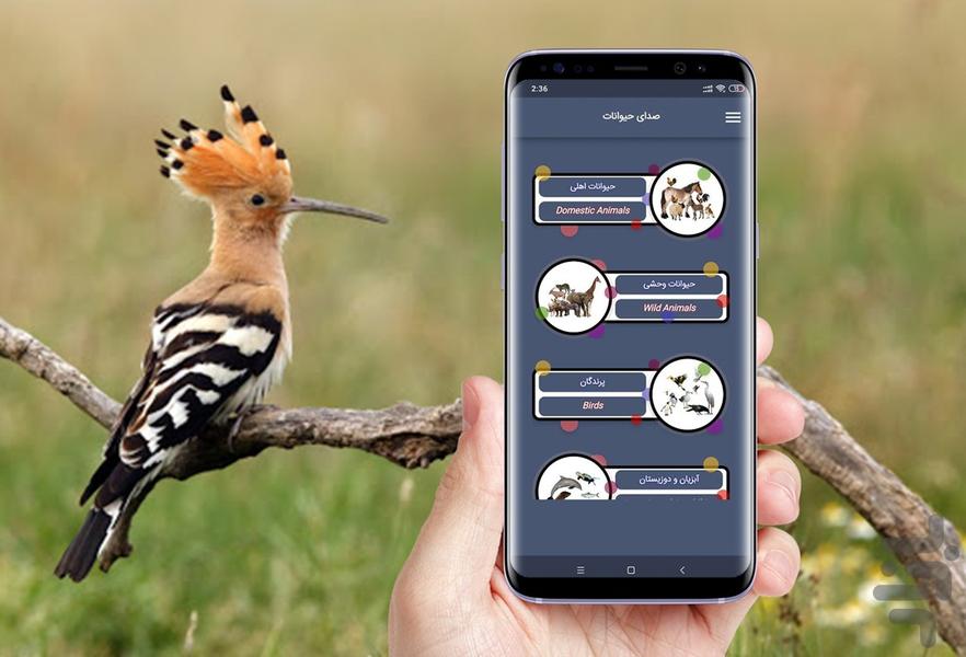 صدای حیوانات - عکس برنامه موبایلی اندروید