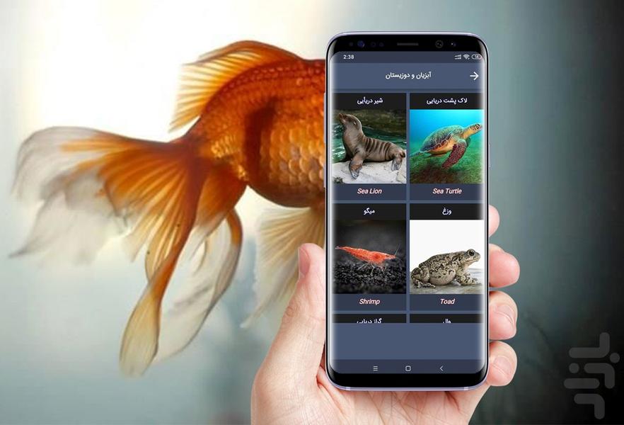صدای حیوانات - عکس برنامه موبایلی اندروید