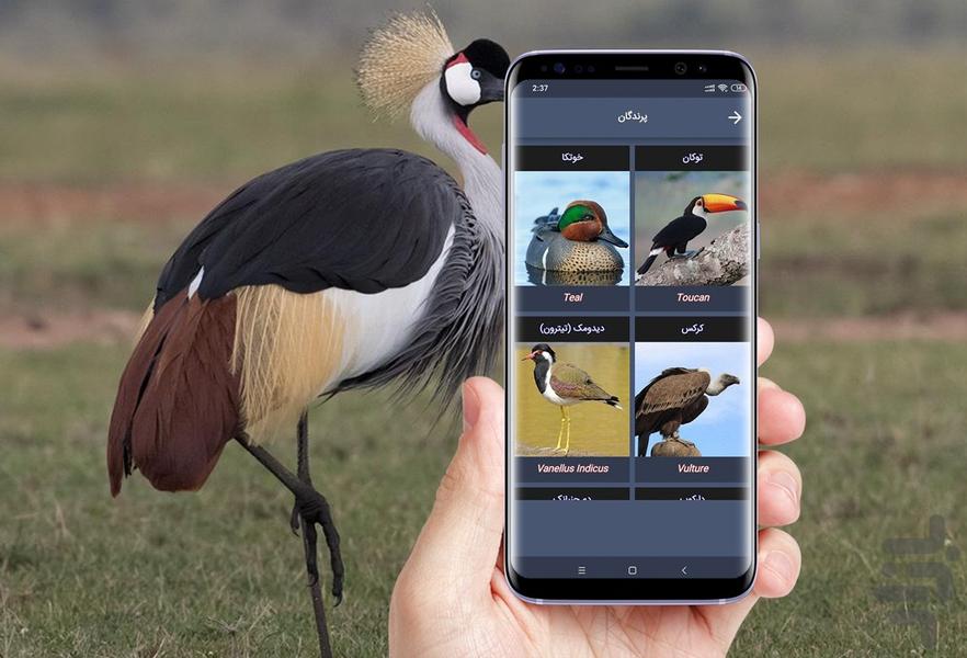 صدای حیوانات - عکس برنامه موبایلی اندروید