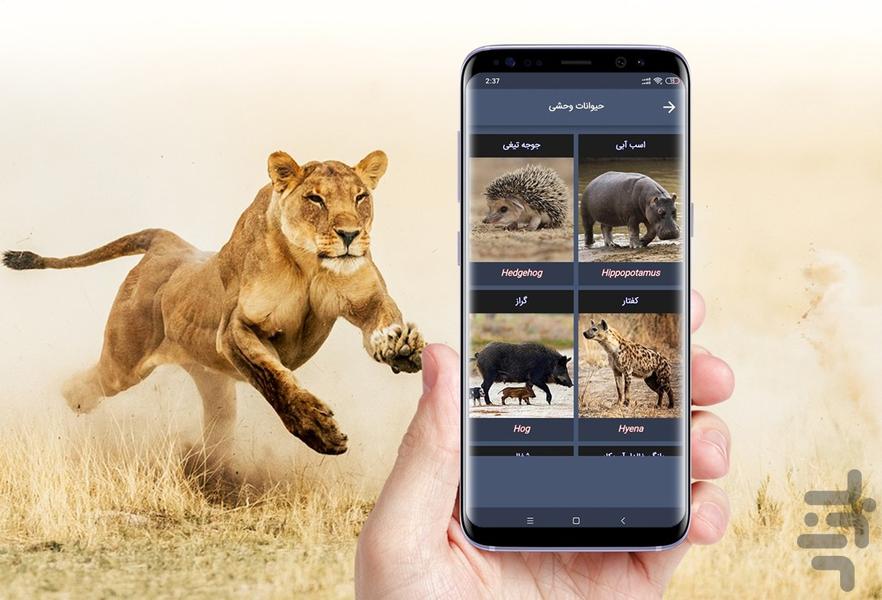 صدای حیوانات - عکس برنامه موبایلی اندروید