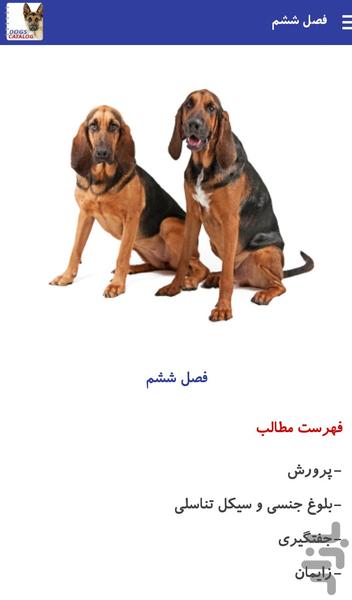 کاتالوگ سگ ها - عکس برنامه موبایلی اندروید