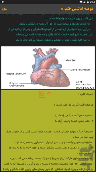 آریتمی قلبی - Image screenshot of android app