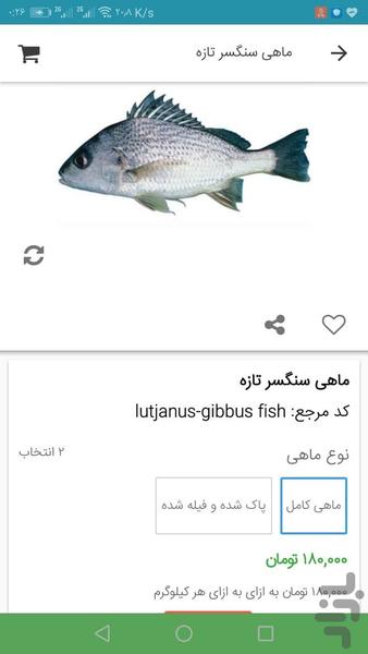 سماچ بازار آنلاین ماهی و میگو - عکس برنامه موبایلی اندروید