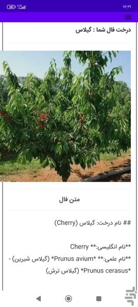 فال درخت - Image screenshot of android app