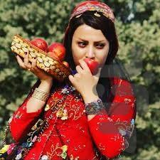 صفر تا صد زبان لری - Image screenshot of android app