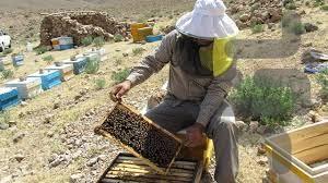 عسل درمانی - عکس برنامه موبایلی اندروید
