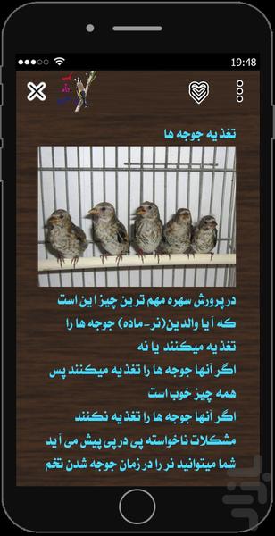 کسب درآمد با سهره - Image screenshot of android app