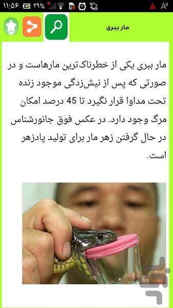 60 نوع مار سمی - Image screenshot of android app