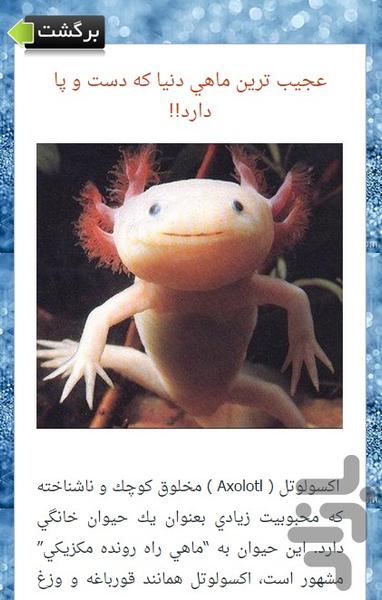 مگه میشه؟ مگه داریم؟ - عکس برنامه موبایلی اندروید