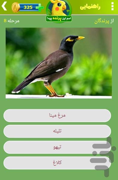 what_bird - Gameplay image of android game