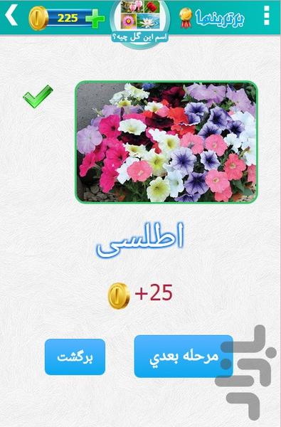 اسم این گل چیه؟ - عکس بازی موبایلی اندروید