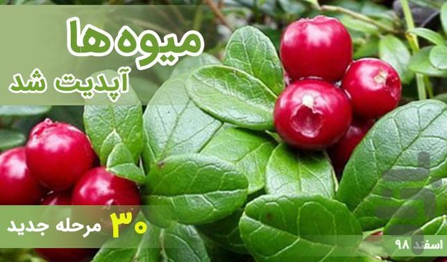 what_fruit - Gameplay image of android game