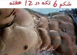 شکمتو شش تکه کن - Image screenshot of android app