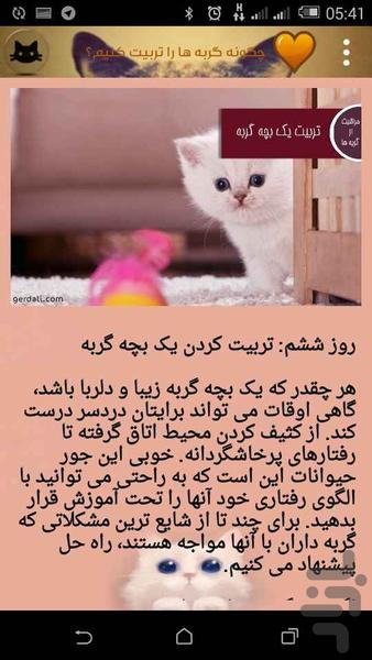 cat training - Image screenshot of android app