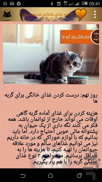 شناخت و تربیت گربه - Image screenshot of android app
