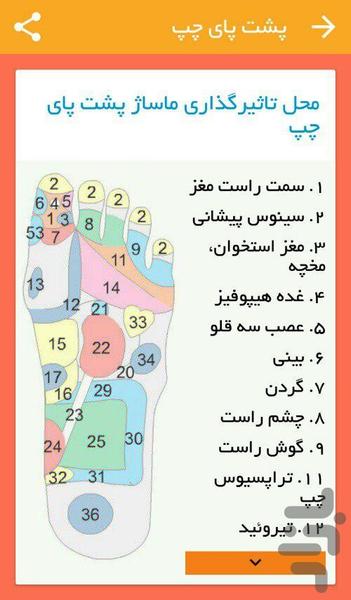 Reflexology - Image screenshot of android app