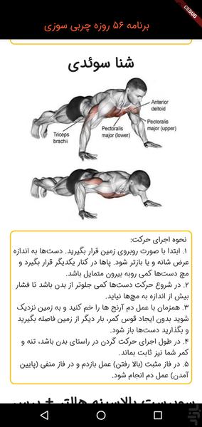 ۵۶ days fat burn - عکس برنامه موبایلی اندروید