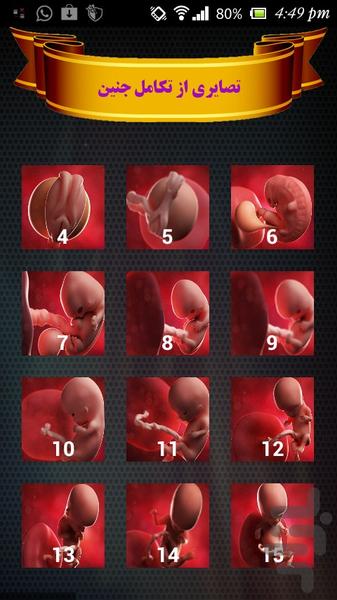 بارداری هفته به هفته - عکس برنامه موبایلی اندروید