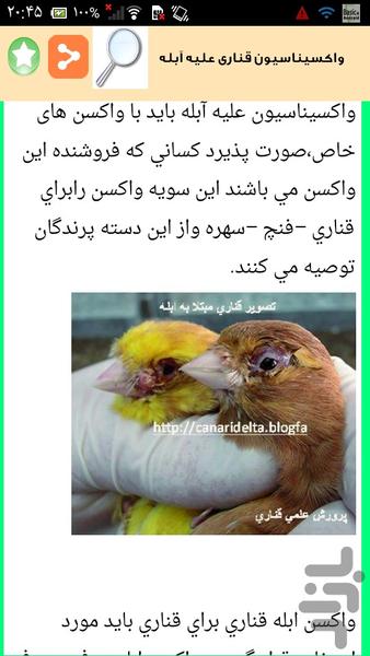 تکثیر و پرورش قناری - عکس برنامه موبایلی اندروید