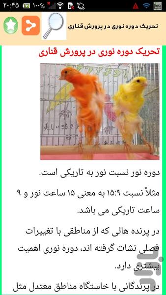 تکثیر و پرورش قناری - عکس برنامه موبایلی اندروید