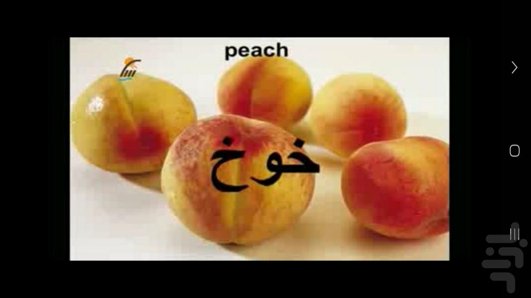 Arabic with pictures - عکس برنامه موبایلی اندروید