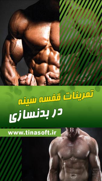Chest workouts in fitness - Image screenshot of android app