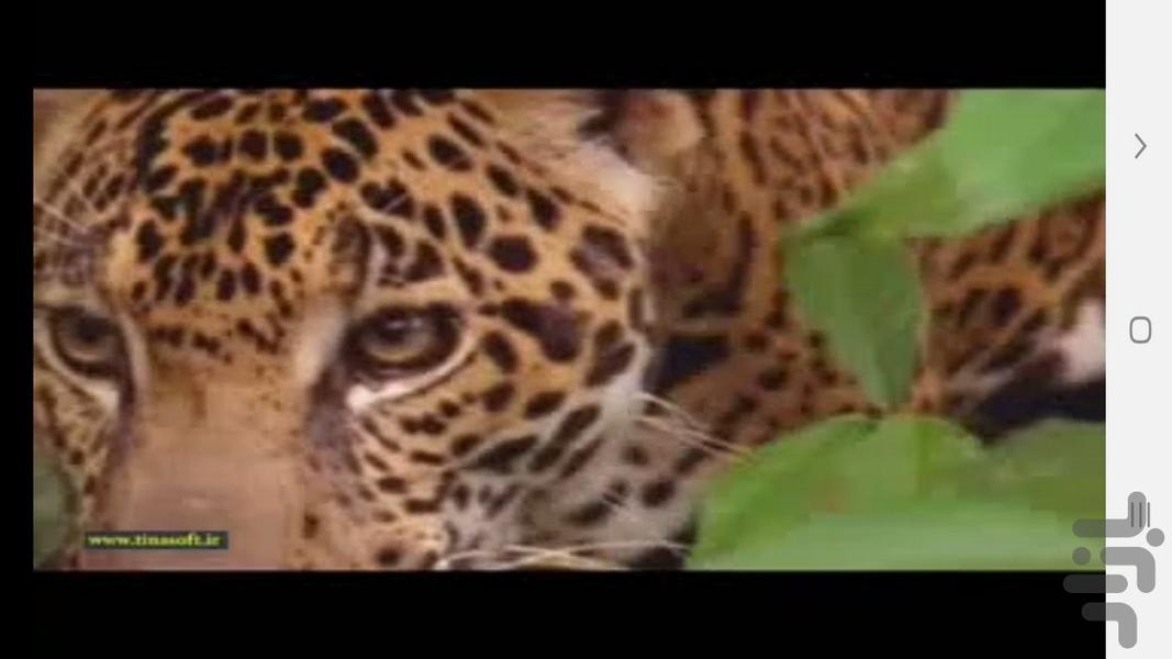 مرگبارترین جانوران جهان - عکس برنامه موبایلی اندروید