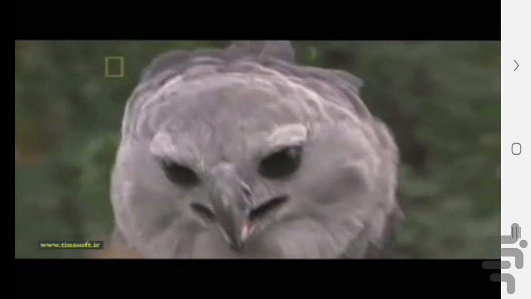 مرگبارترین جانوران جهان - عکس برنامه موبایلی اندروید