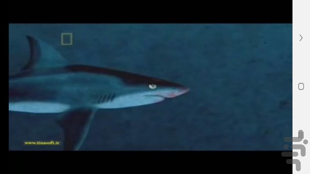 مرگبارترین جانوران جهان - عکس برنامه موبایلی اندروید