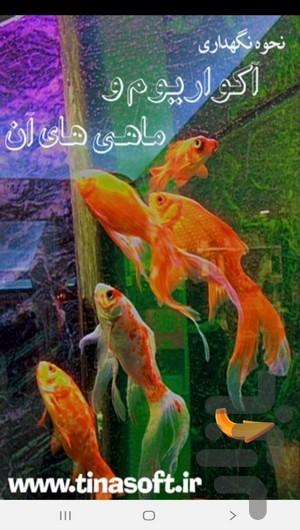 نحوه نگهداری آکواریوم و ماهی های آن - عکس برنامه موبایلی اندروید
