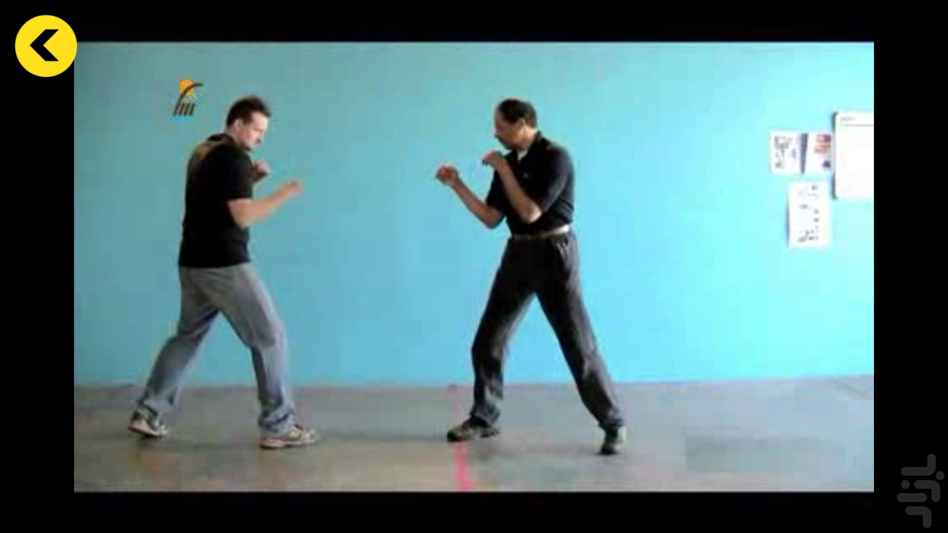 jeet kune do stance