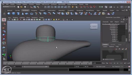 Maya training - Image screenshot of android app